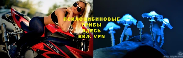 сатива Белокуриха