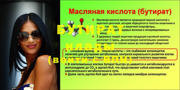 сатива Белокуриха