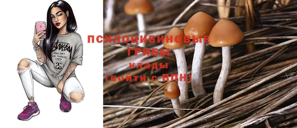 винт Беломорск